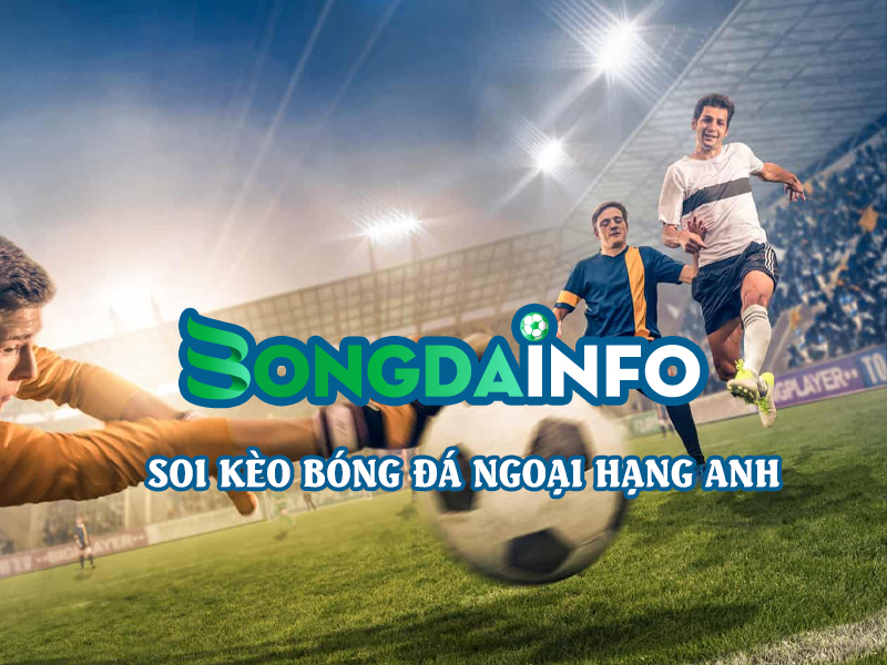 Bongdainfo.com – Nơi soi kèo nhà cái bóng đá trực tuyến chuẩn nhất